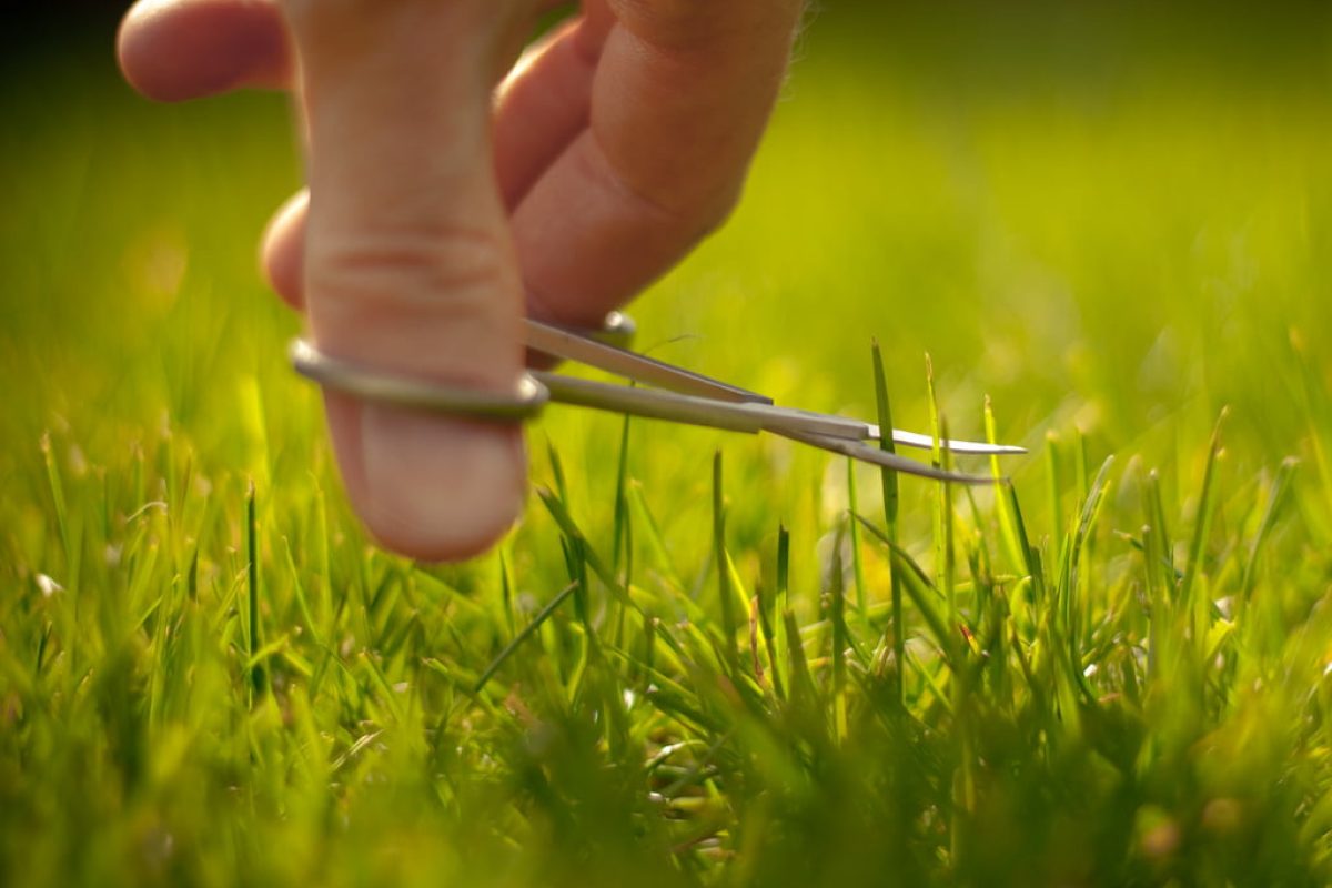 Perfectiune sau Succes